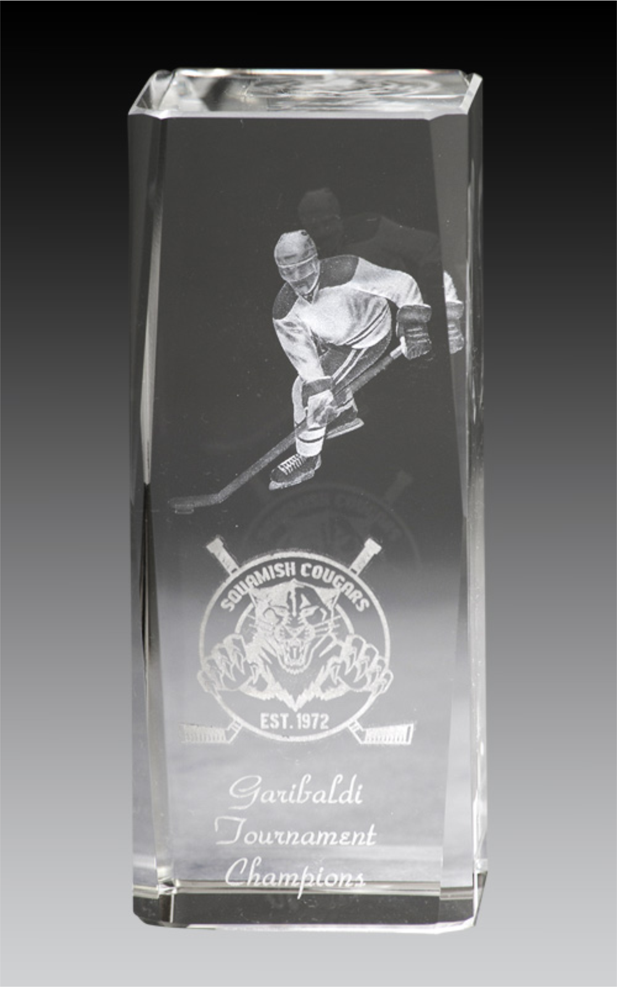 Hockey Series - Glass Rectangular Crystal Block With Laser Image