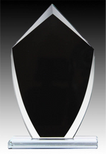 Onyx Series - Shield Clear Black Glass